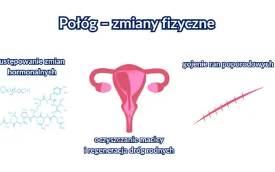 Kiedy oddać krew po porodzie? 6 miesięcy to początek sprawdź!
