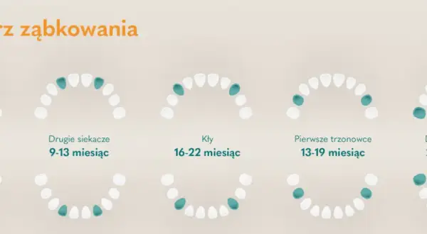 Ząbkowanie u niemowlaka: Ile trwa? Kalendarz, objawy i ulga!
